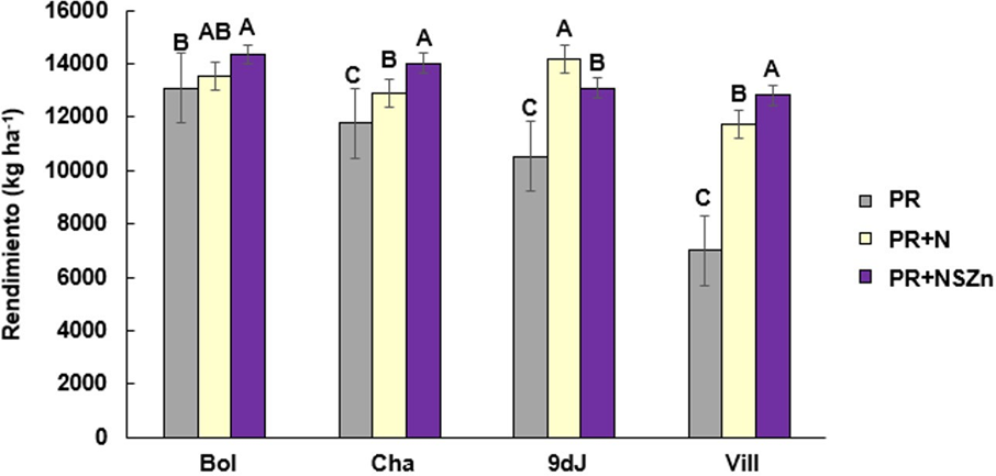 Figura 1. Rendimiento en (kg ha-1) para los cuatro sitios en estudio y los tres tratamientos de fertilización. Letras distintas dentro de cada localidad, indican diferencias significativas (p&lt;0,05). PR: manejo del productor, PR+N: manejo de productor con un 50% más de N, y PR+NSZn: PR+N con una dosis de suficiencia para S y Zn.