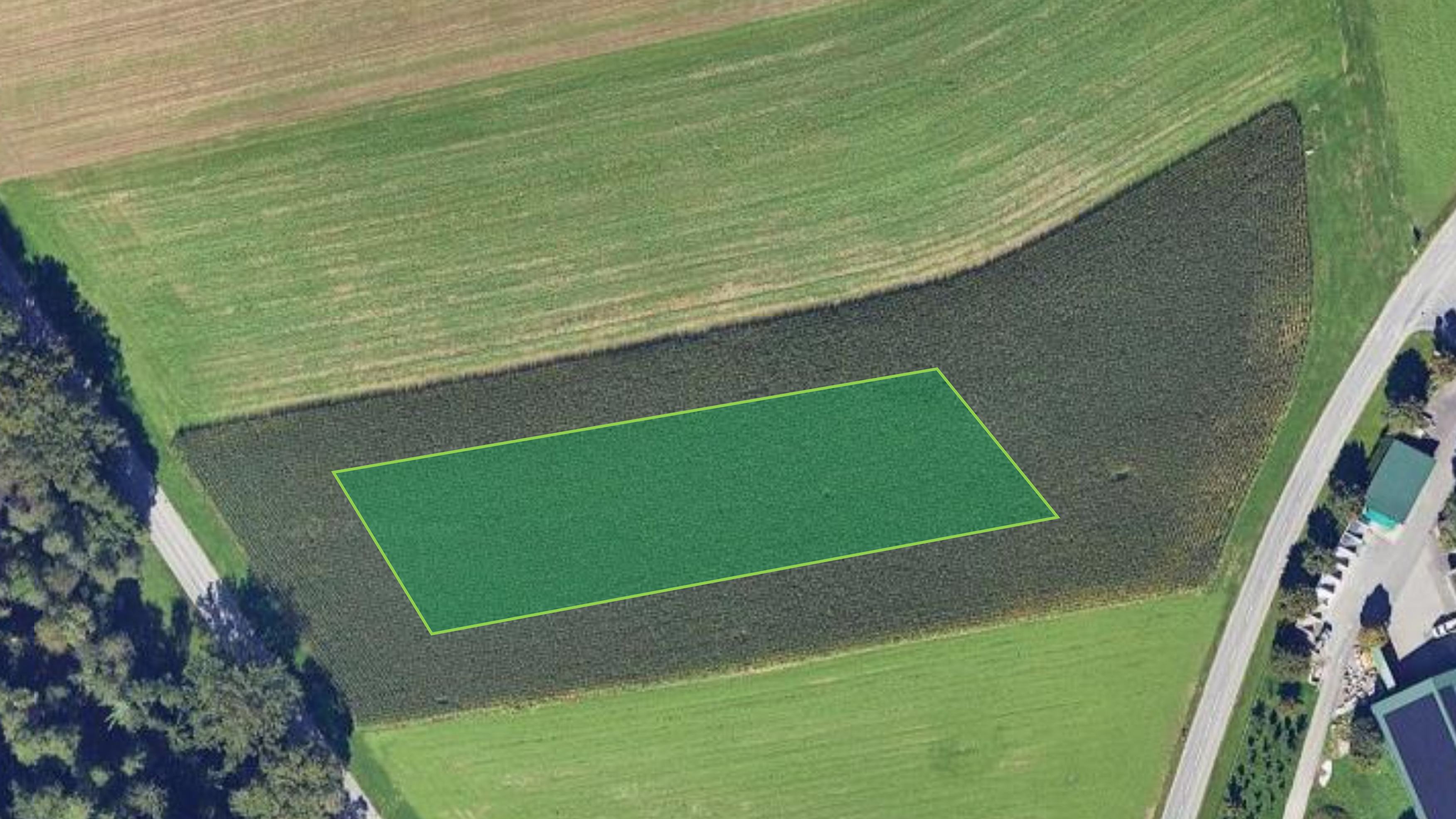 Auswahl Stelle im Feld: repräsentativ (nicht im Vorgewende, nicht auf ehemaligen Mieten, ...)