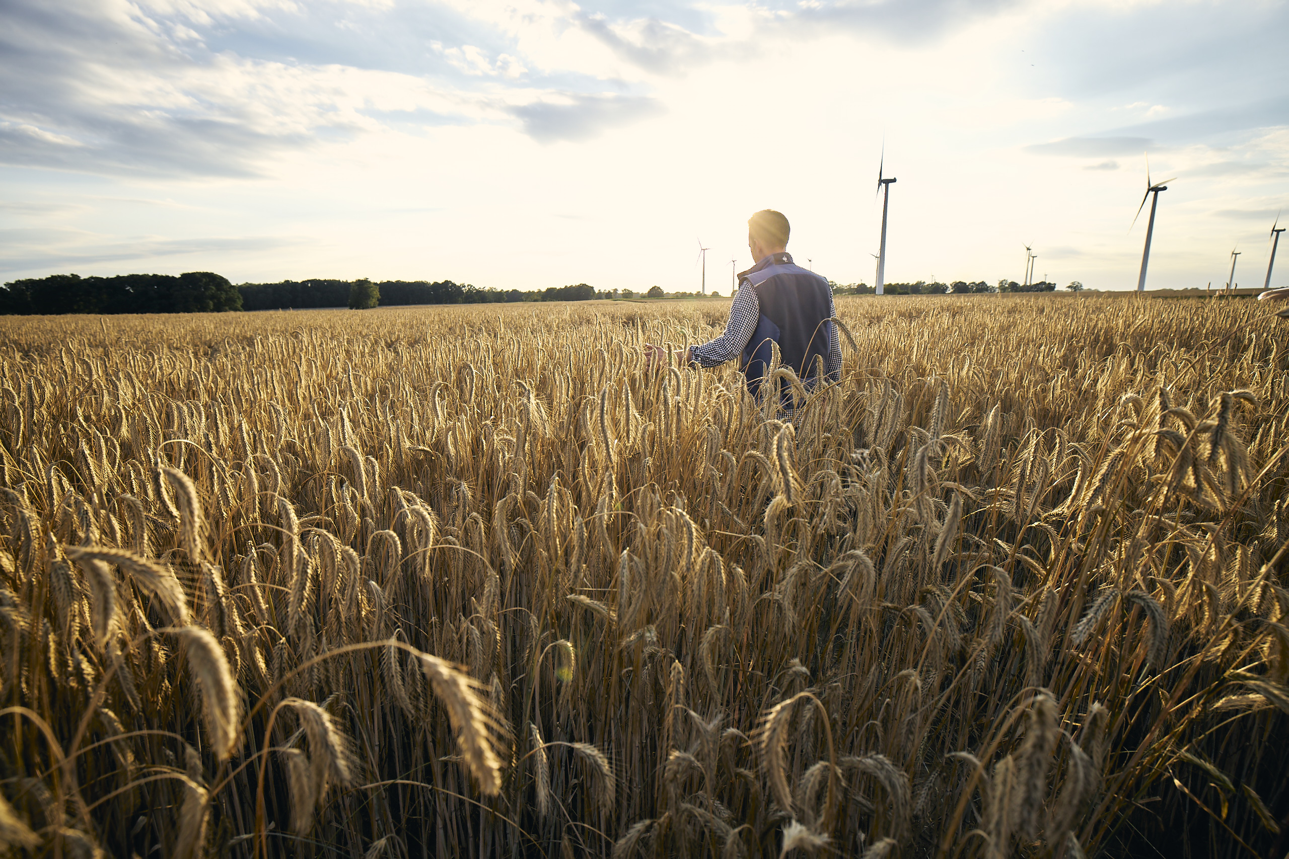 kws2007_rye_field_farmer_0245.jpg