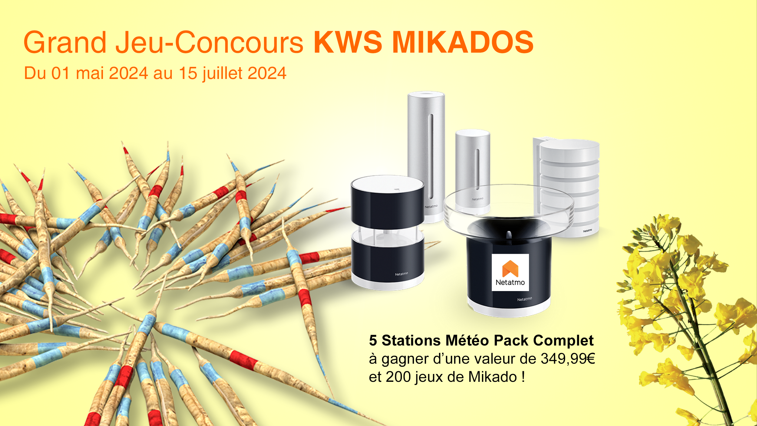 jeu-concours-kws-mikados-2500-1408.png